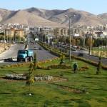 صدرا شیراز Profile Picture